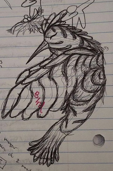 Bird sketch